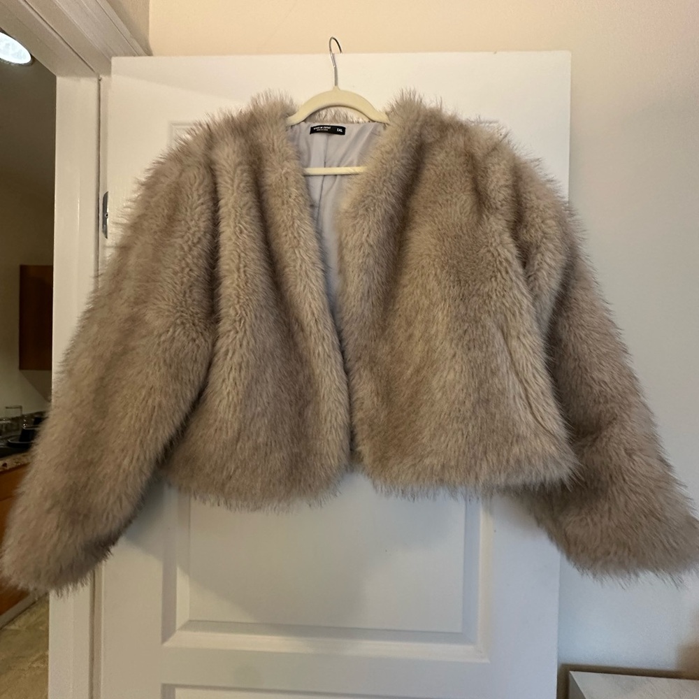 Chic Faux Fur Jacket in Beige